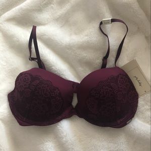 New gilly hicks bra